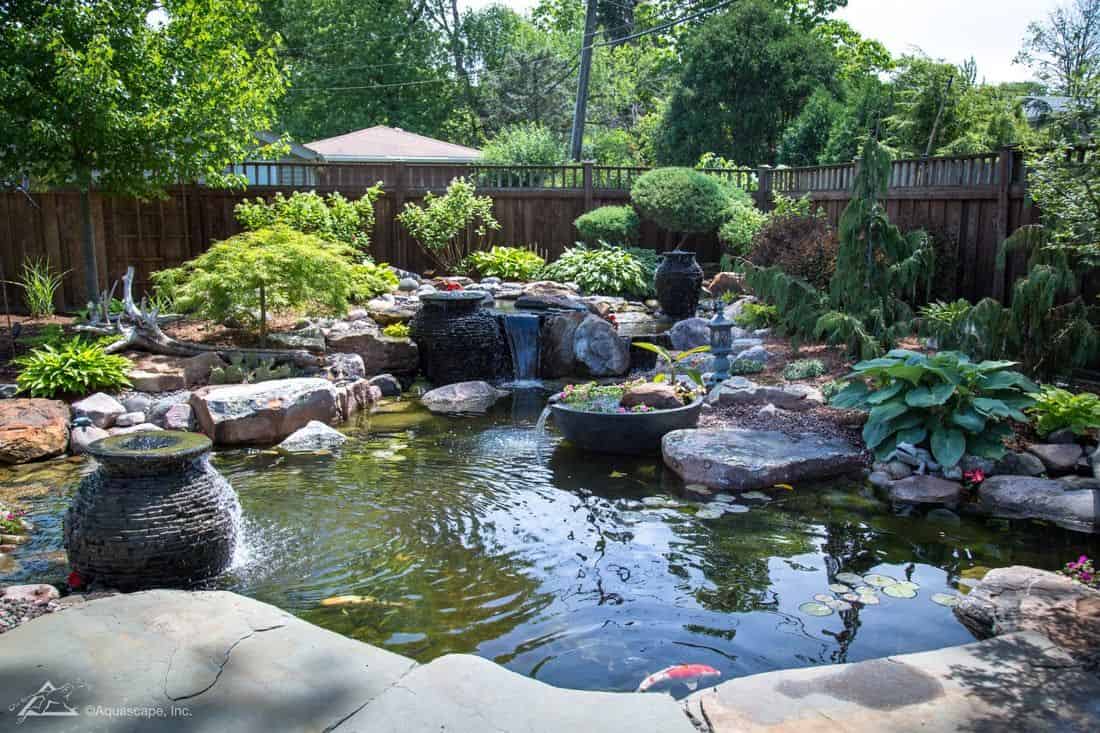 Ponds & Water Features image