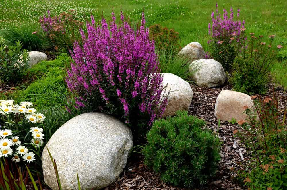 Garden Services image