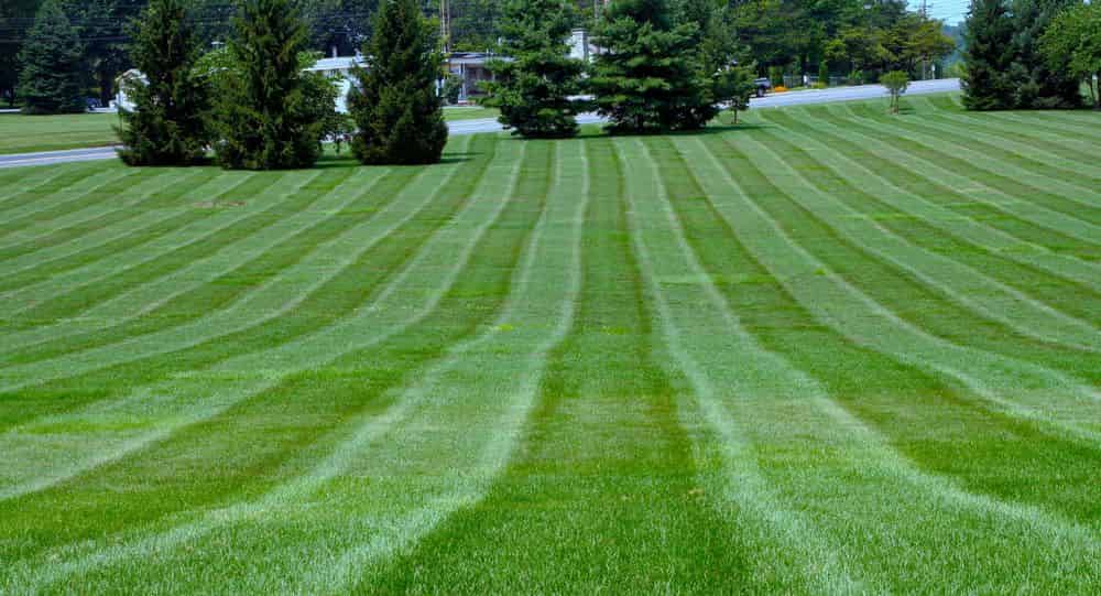 Lawn Care Services image