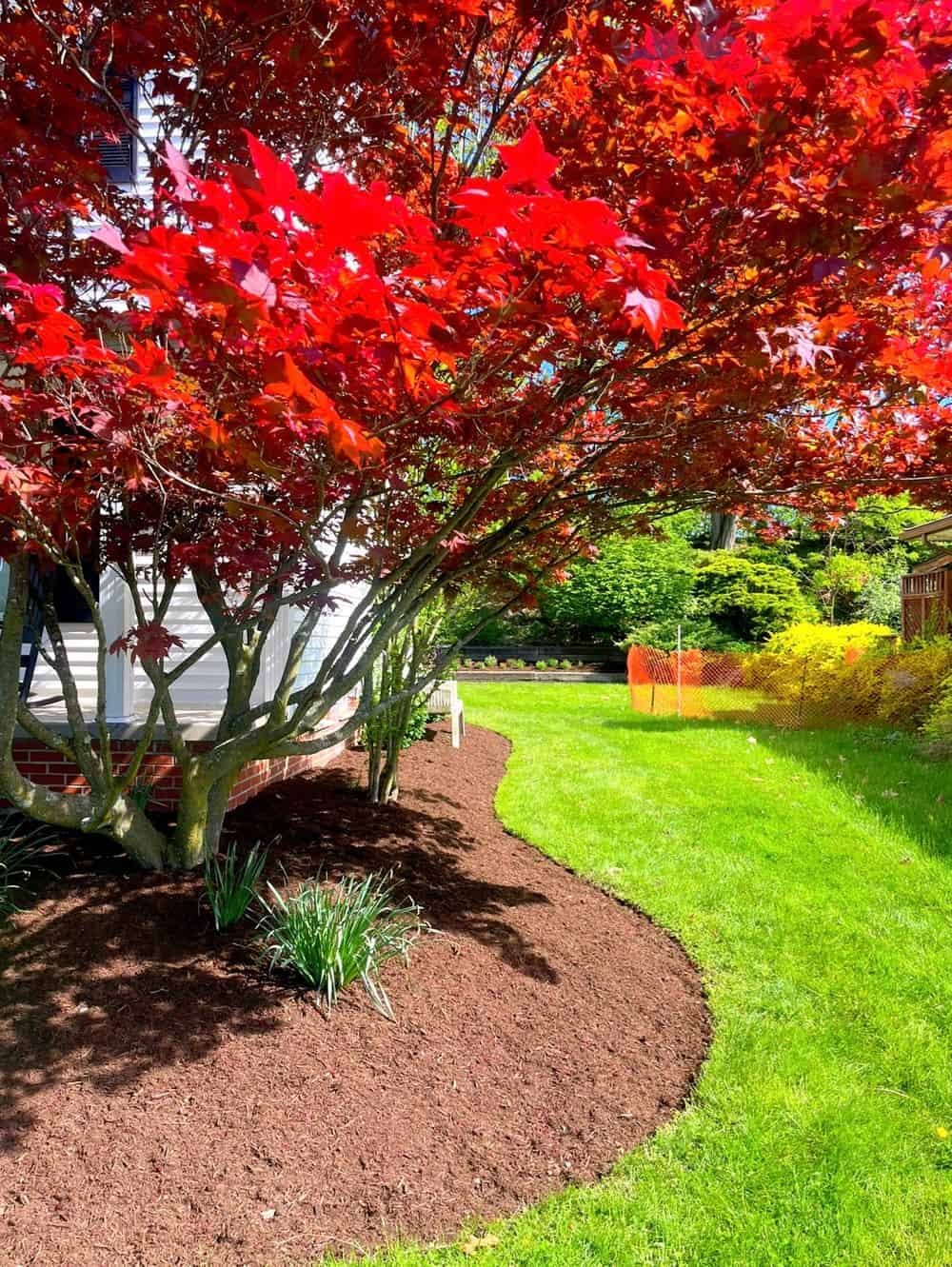 Garden Services image