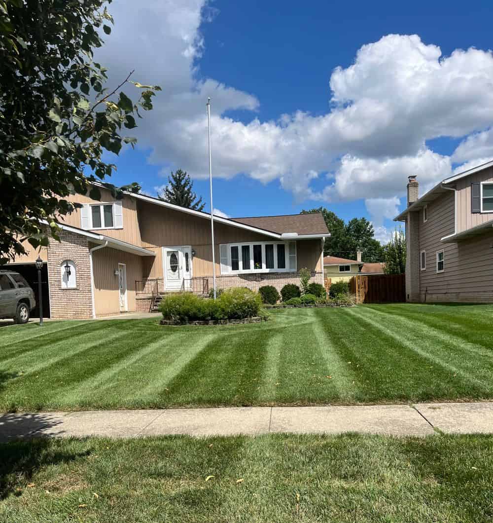 Lawn Care Services image