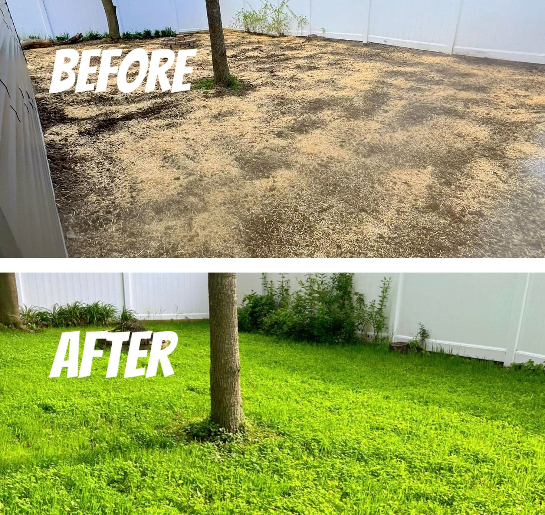 Gallery photos for Sustainable Lawn & Regrading: Image #2