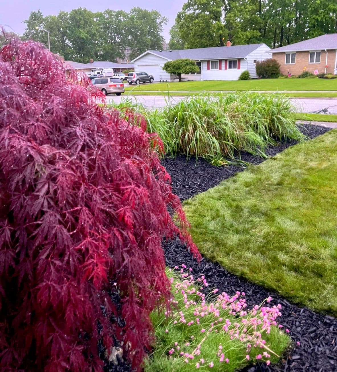 Gallery photos for Gravel to Double Shredded Black Mulch Transformation: Image #1