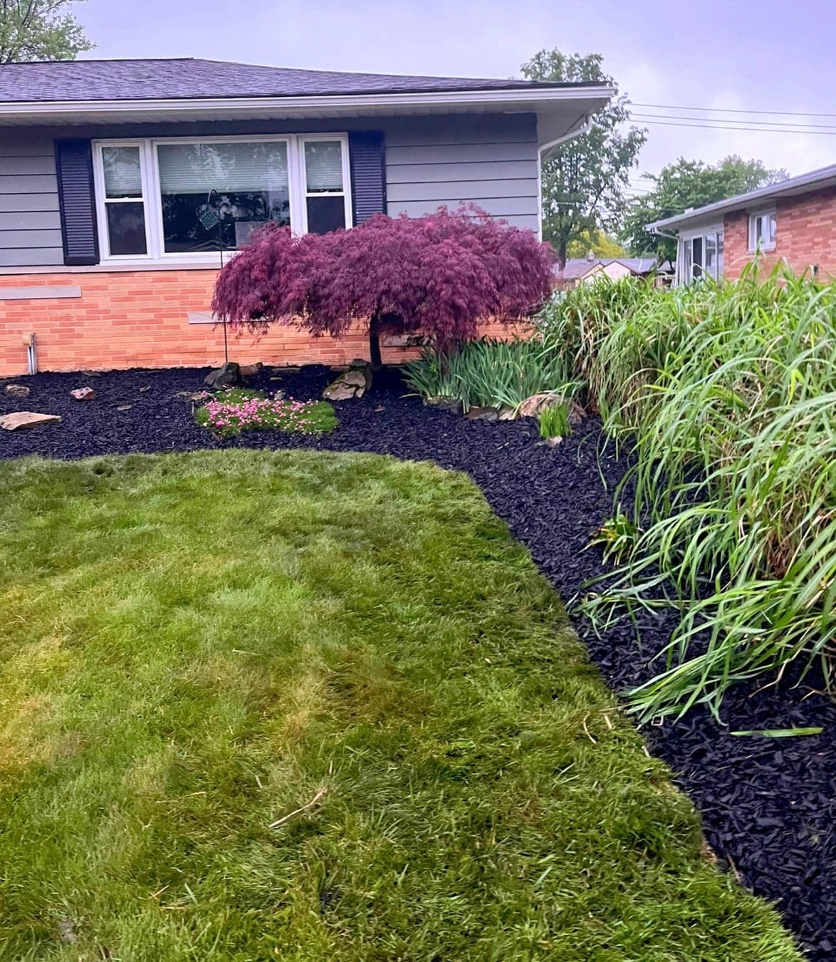 Gallery photos for Gravel to Double Shredded Black Mulch Transformation: Image #2