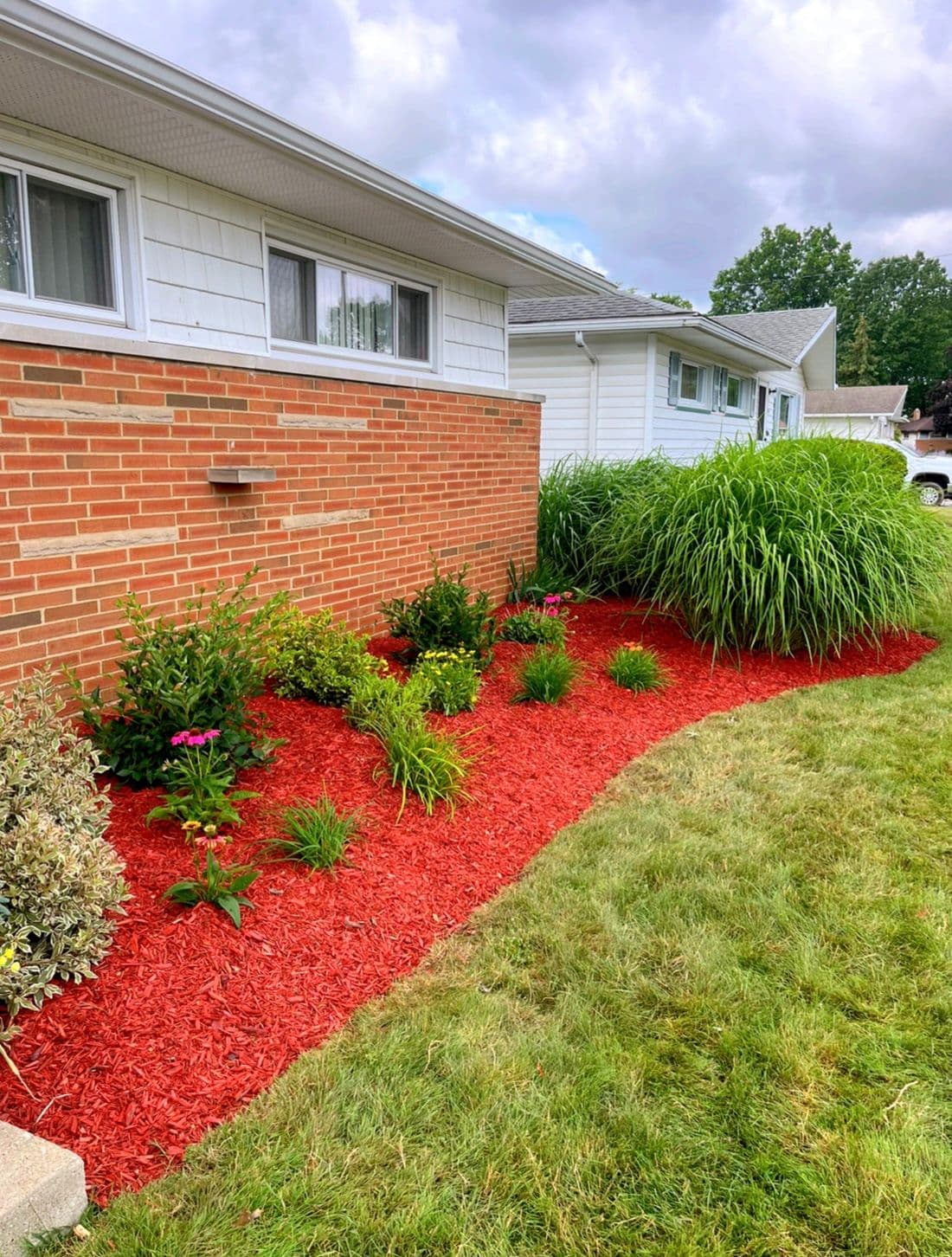 Flower Bed Remodel with Native Flowers  image