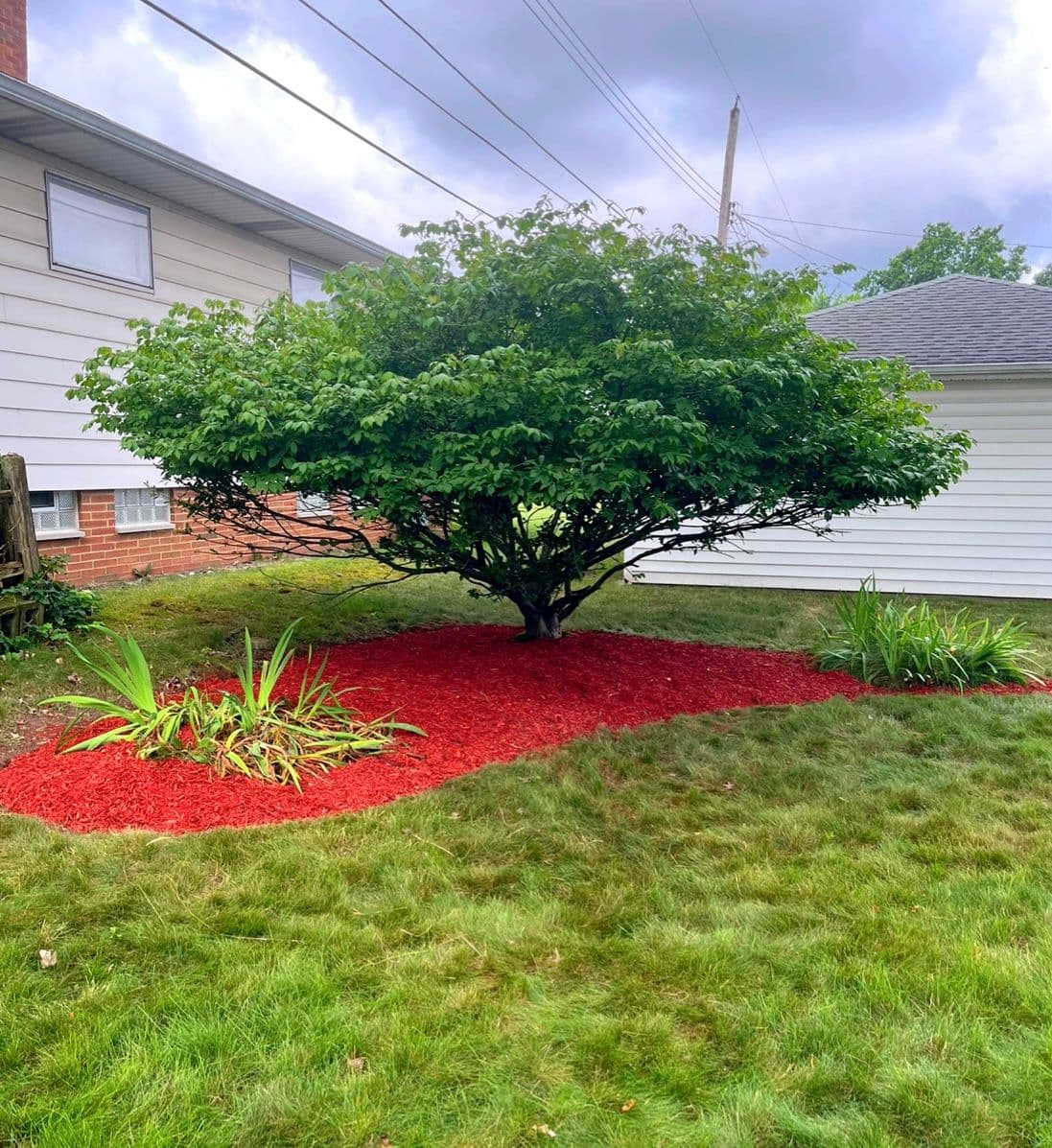 Gallery photos for Flower Bed Remodel with Native Flowers : Image #2