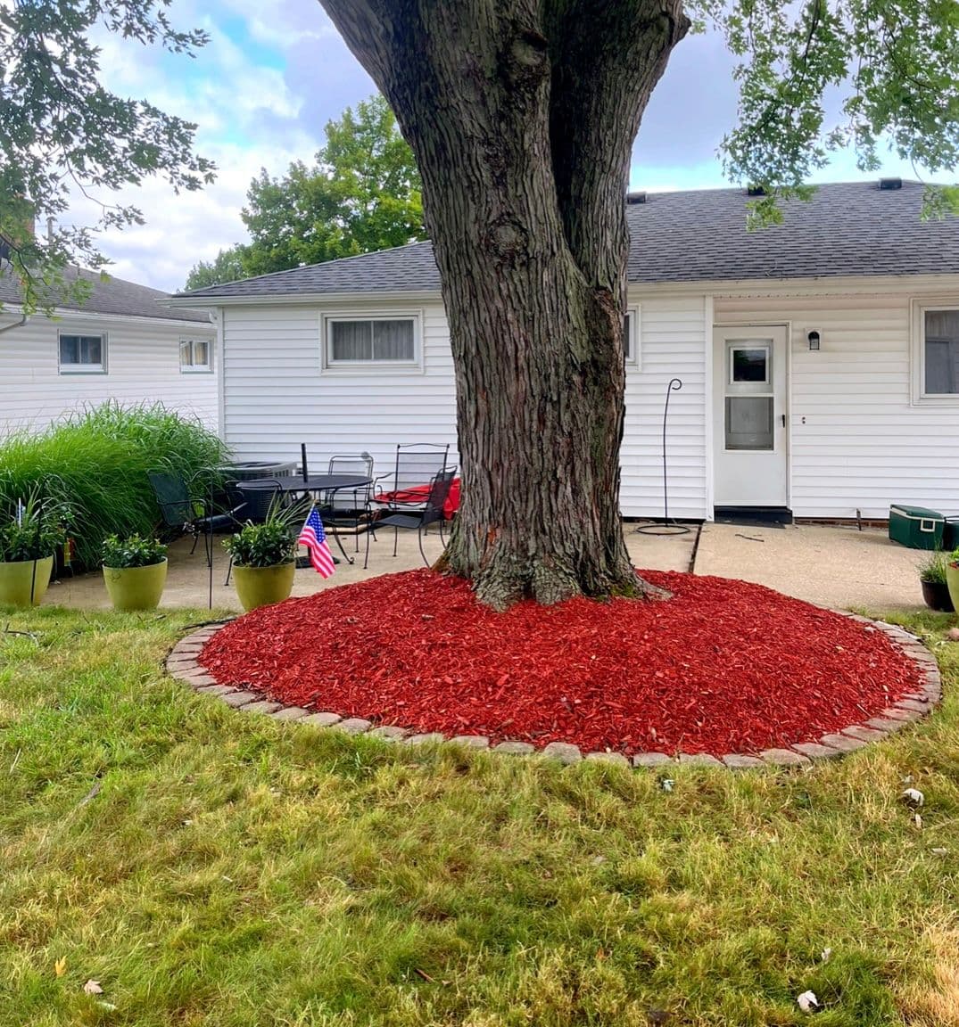 Gallery photos for Flower Bed Remodel with Native Flowers : Image #5