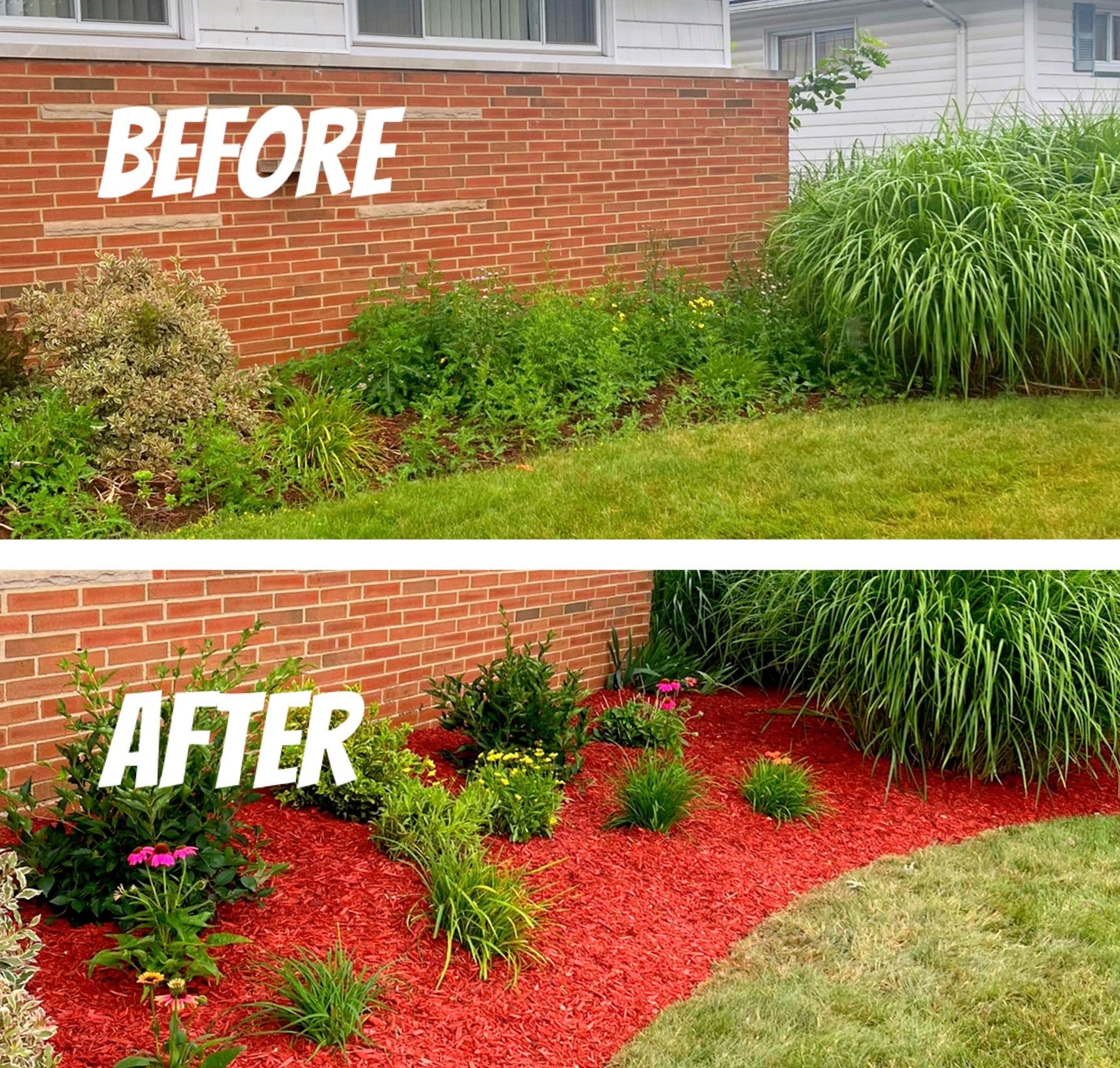 Gallery photos for Flower Bed Remodel with Native Flowers : Image #4