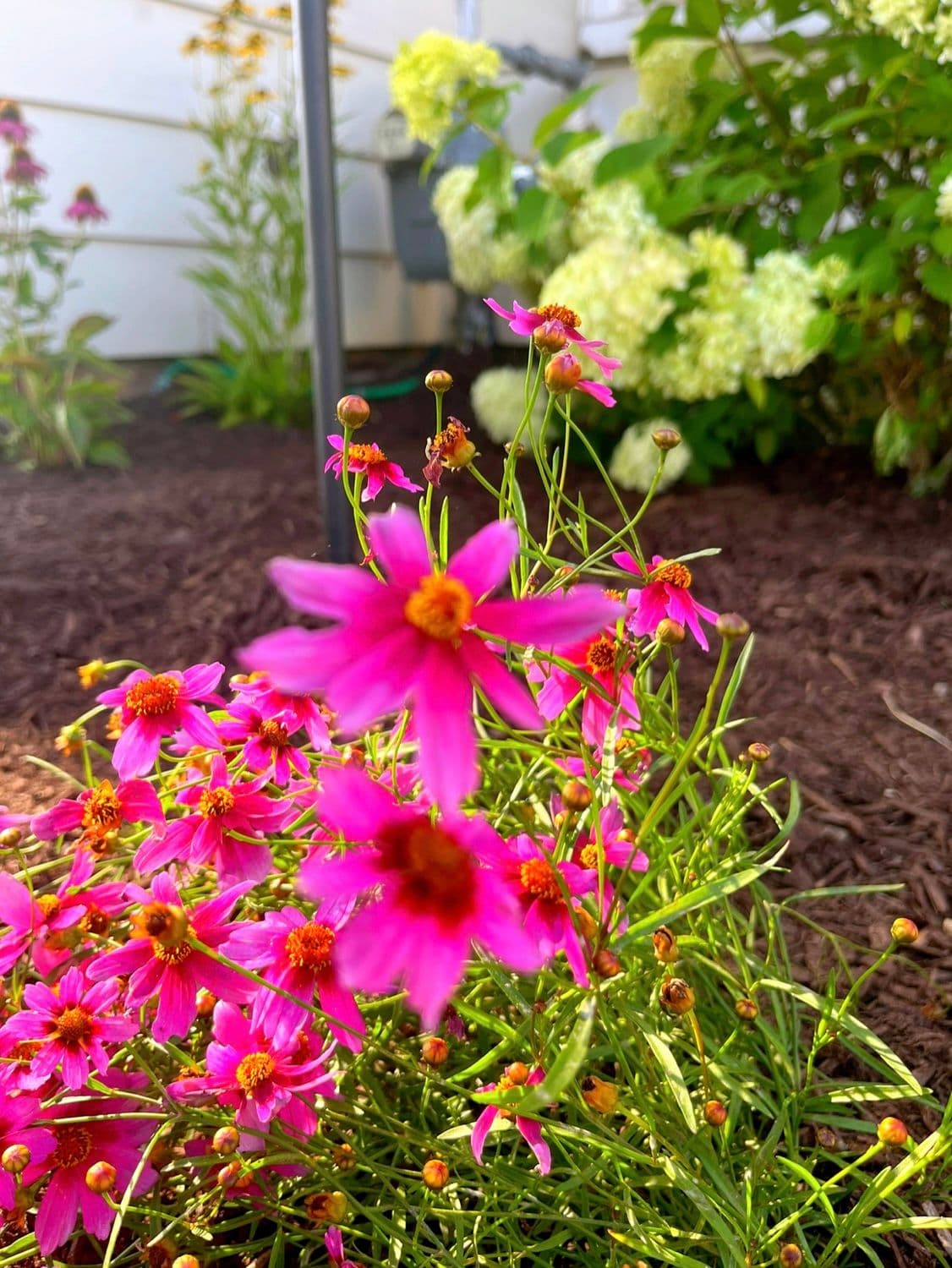 Gallery photos for Stunning Landscape and Fence Transformation: Image #2