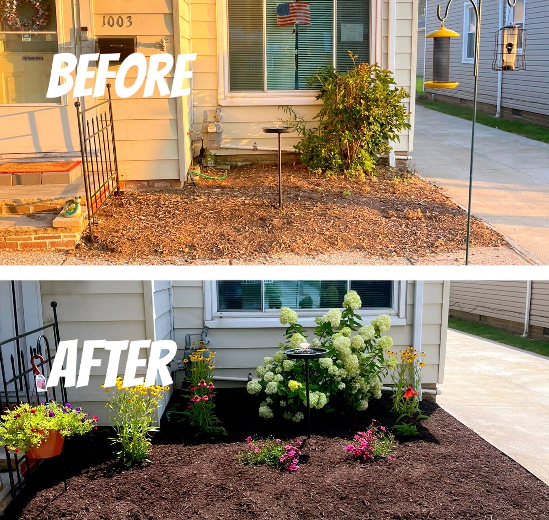Gallery photos for Stunning Landscape and Fence Transformation: Image #6
