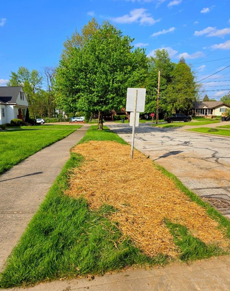 Gallery photos for Broadview Heights Front Yard Bed Refresh Done Right: Image #3