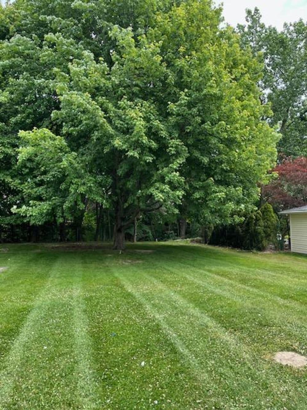 Residential Lawn Care 
