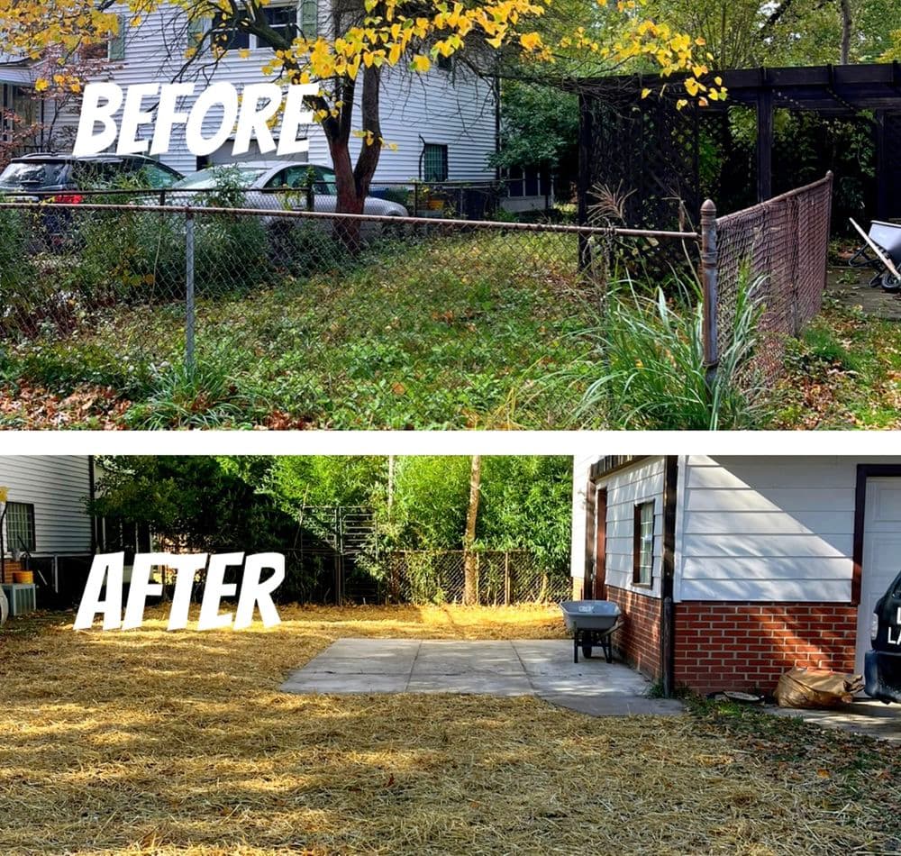 Fence & Pergola Tear Down With Grading & Reseeding 