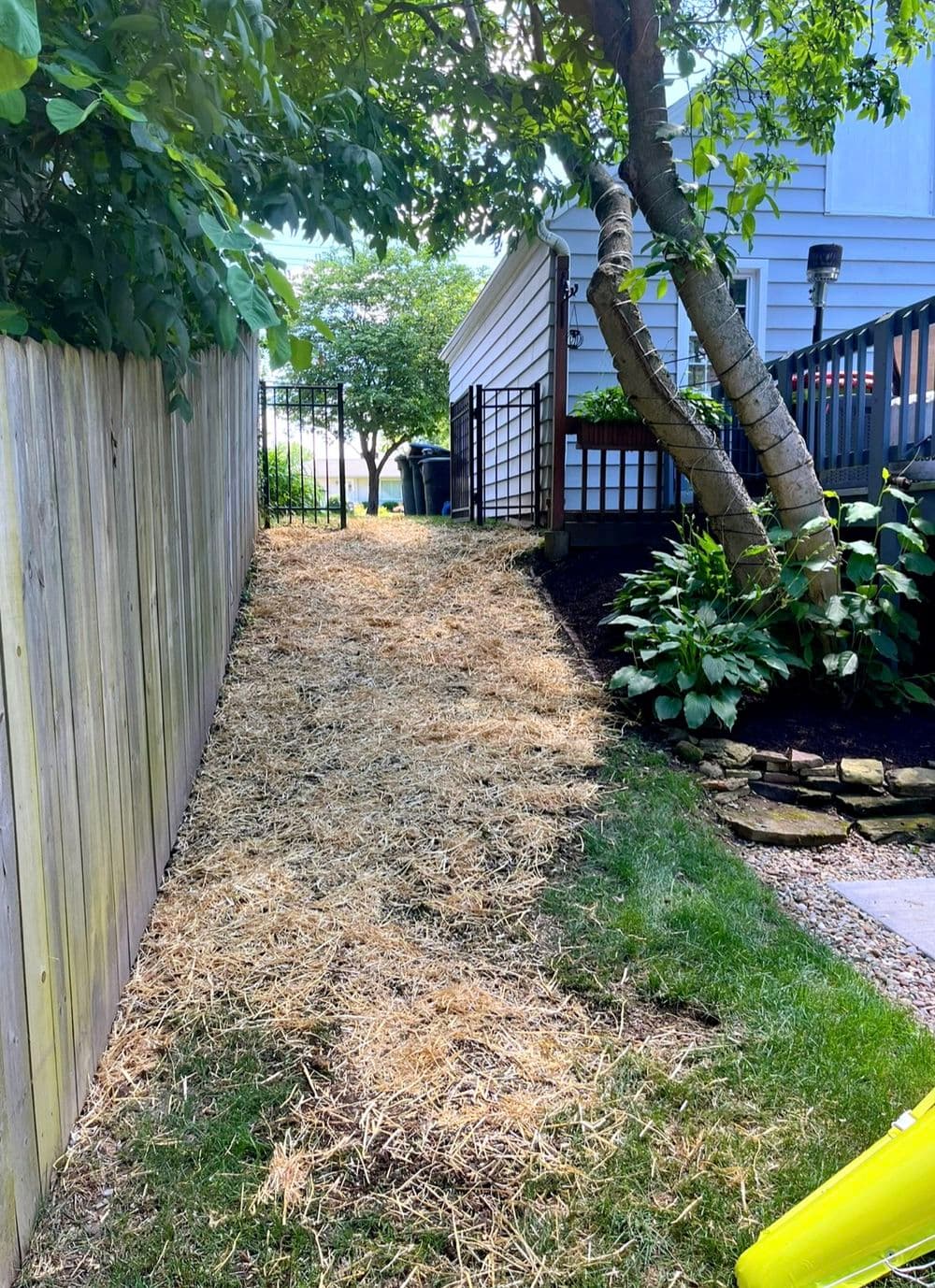 Gallery photos for Landscape Transformation in Independence OH: Image #5