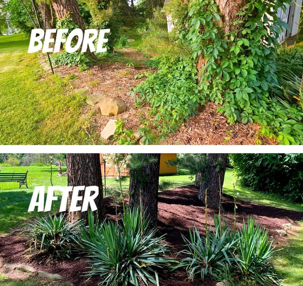 Gallery photos for Landscape Transformation in Independence OH: Image #1