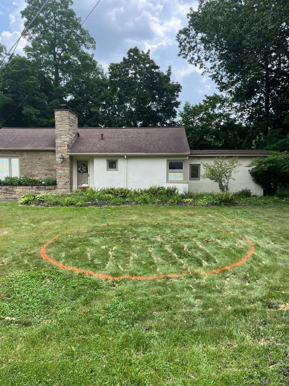 River Birch Planting: Natural Water Absorption & Native Ohio Landscaping