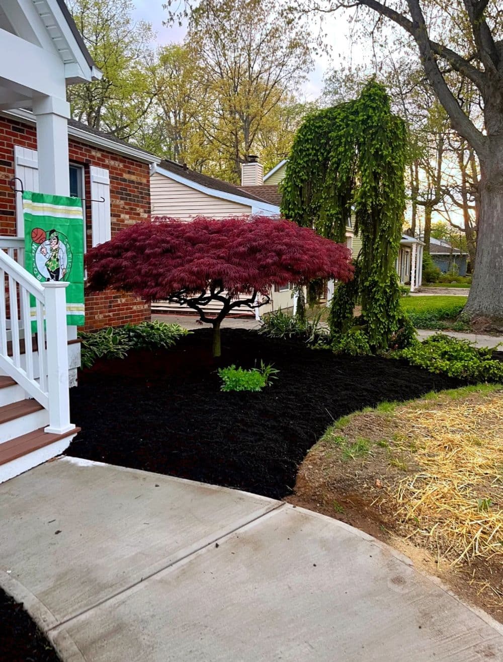 Gallery photos for Black Mulch and Clover Lawn Seeding in Bay Village : Image #1