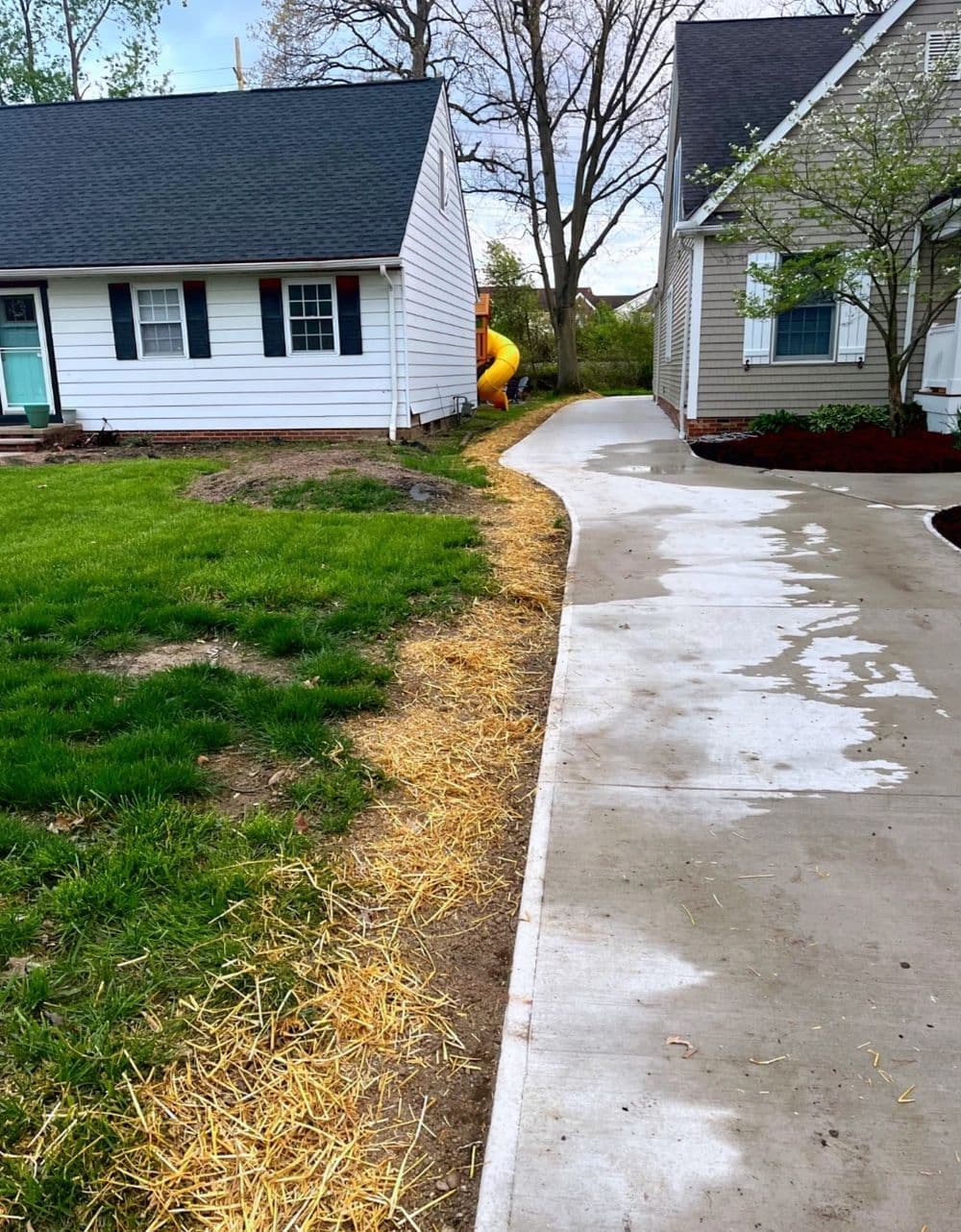 Gallery photos for Black Mulch and Clover Lawn Seeding in Bay Village : Image #4