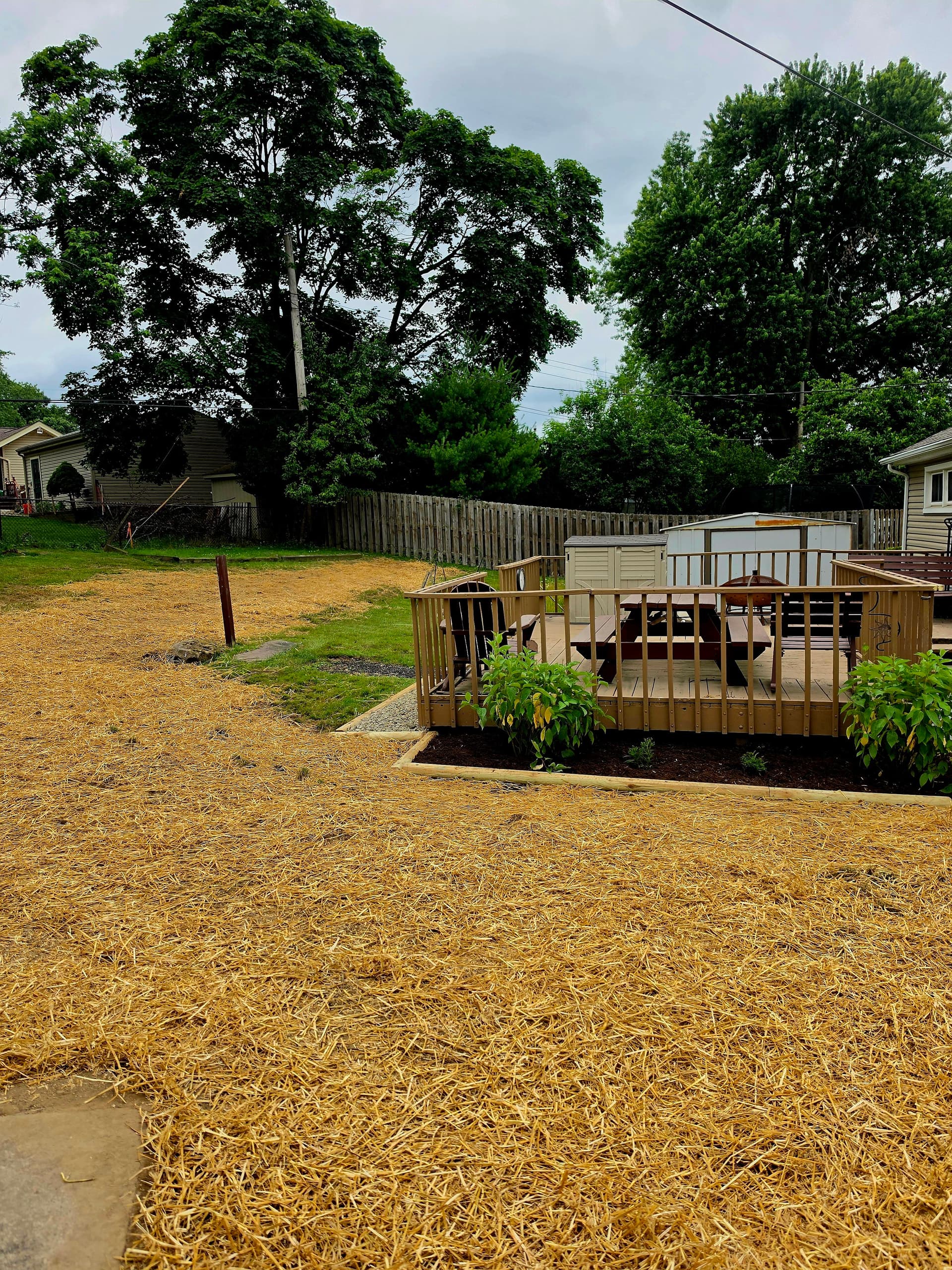 Gallery photos for Custom Paver Walkway and Native Garden Build in North Royalton: Image #6