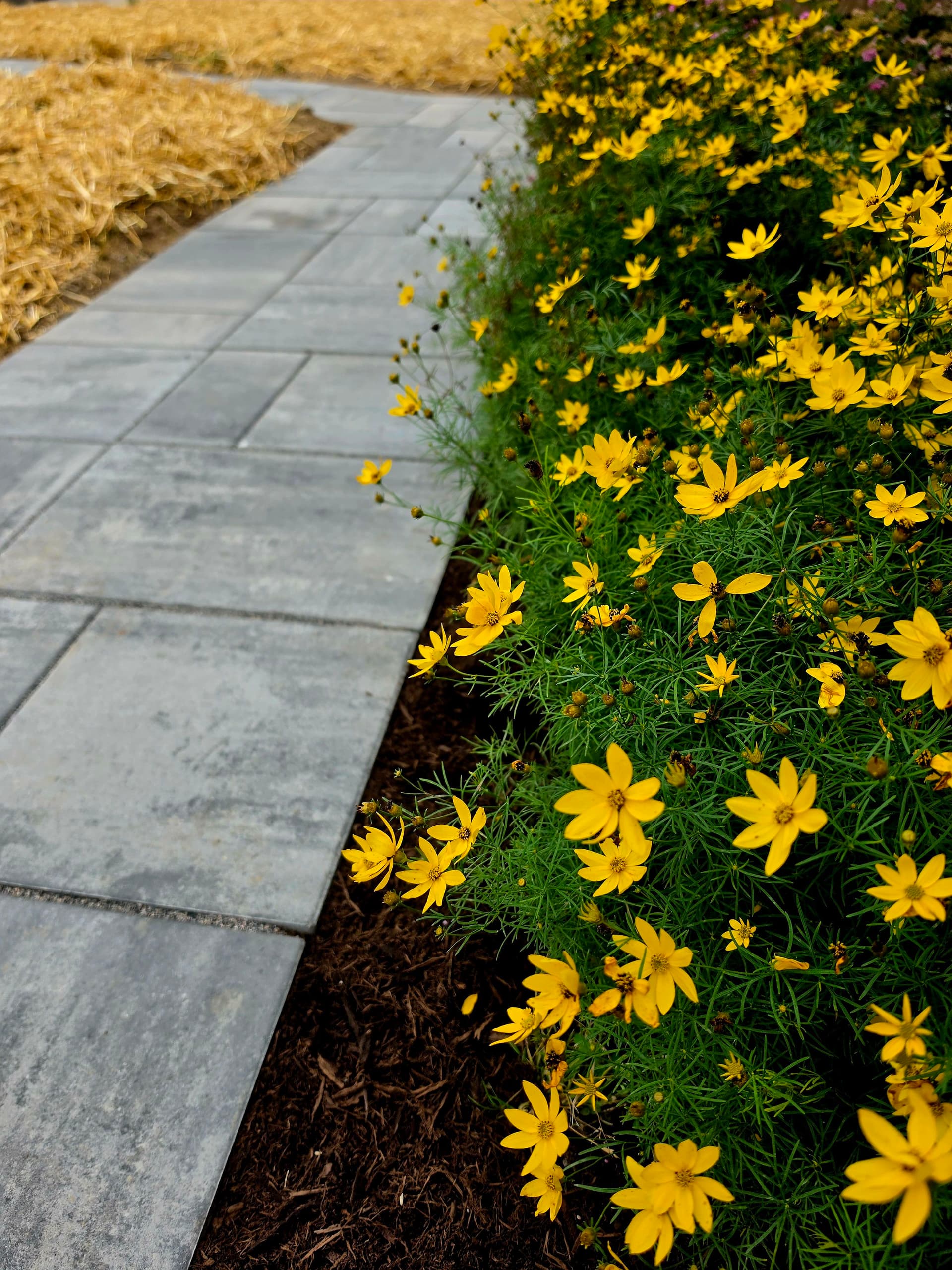 Custom Paver Walkway and Native Garden Build in North Royalton image